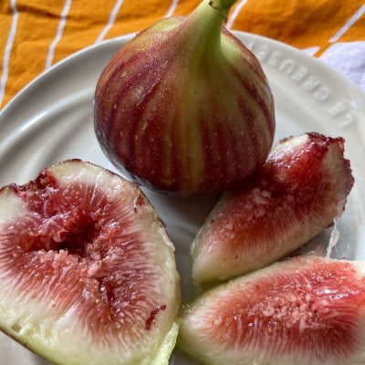【8月上旬以降お届け】朝採りいちじく