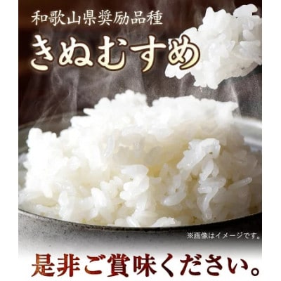 前田農園のキヌムスメ 10kg 5kg×2 和歌山県紀の川市【白米】