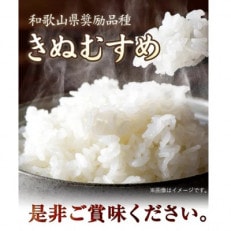 前田農園のキヌムスメ 20kg 10kg×2  和歌山県紀の川市【白米】