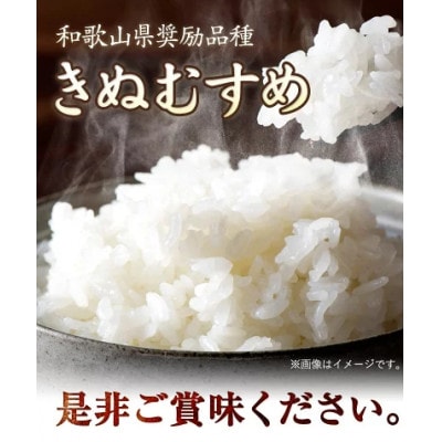 前田農園のキヌムスメ 20kg 10kg×2  和歌山県紀の川市【白米】