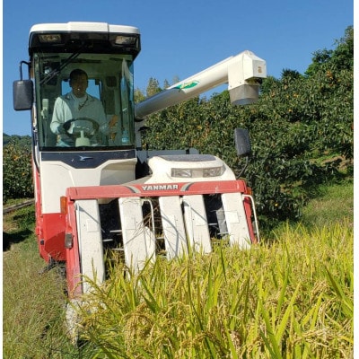 キヌムスメ 10kg 5kg×2 前田農園 和歌山県紀の川市【5分づき米】