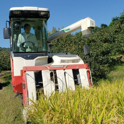 キヌムスメ 10kg 5kg×2 前田農園 和歌山県紀の川市【7分づき米】