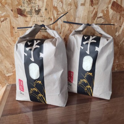 キヌムスメ 10kg 5kg×2 前田農園 和歌山県紀の川市【上白米】