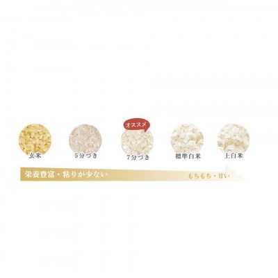 キヌムスメ 10kg 5kg×2 前田農園 和歌山県紀の川市【上白米】
