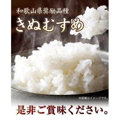 キヌムスメ 20kg 10kg×2 前田農園 和歌山県紀の川市【5分づき米】