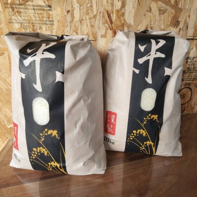 キヌムスメ 20kg 10kg×2 前田農園 和歌山県紀の川市【5分づき米】