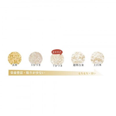 キヌムスメ 20kg 10kg×2 前田農園 和歌山県紀の川市【5分づき米】