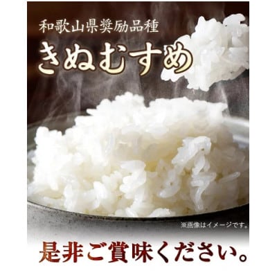 前田農園のキヌムスメ 5kg 和歌山県紀の川市【白米】