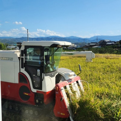 前田農園のキヌムスメ 5kg 和歌山県紀の川市【白米】