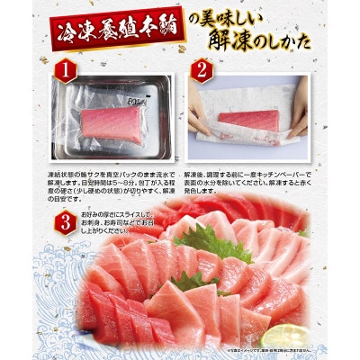 プレミア和歌山認証品 和歌山県串本産　本マグロ(養殖)トロ&赤身セット　500g(冷凍)
