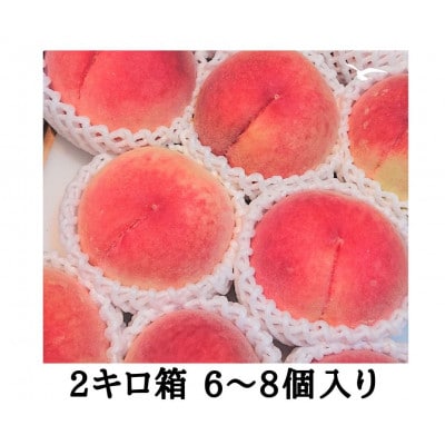 【2025年7月上旬より順次発送】毎年食べたい桃2kg　児玉農園より直送