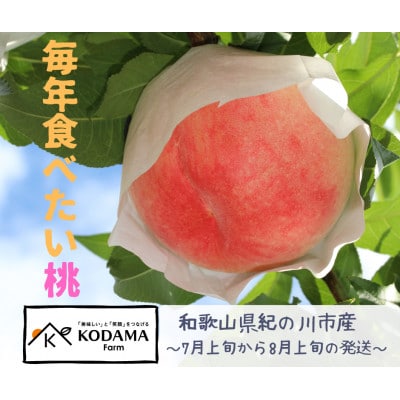 【2025年7月上旬より順次発送】毎年食べたい桃4kg 児玉農園より直送