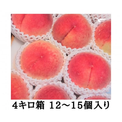 【2025年7月上旬より順次発送】毎年食べたい桃4kg　児玉農園より直送