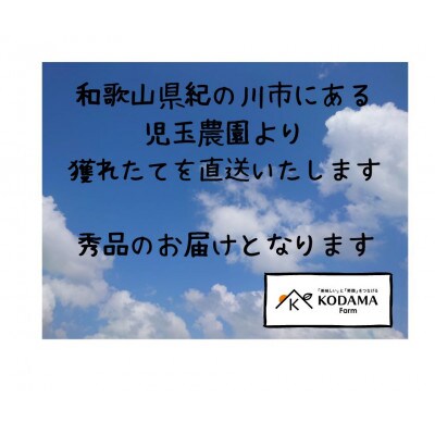【2025年7月上旬より順次発送】毎年食べたい桃4kg　児玉農園より直送