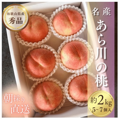 名産「あら川の桃」 秀品 約2kg(5～7個入)
