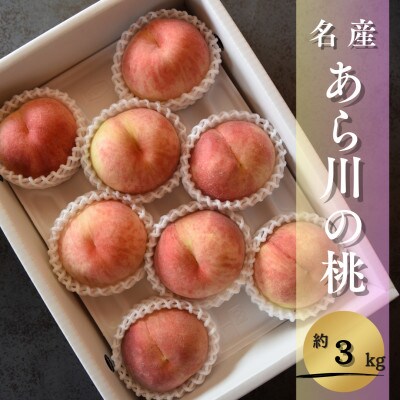 【2024年8月上旬発送】名産「あら川の桃」 秀品 約3kg(8～11個入)