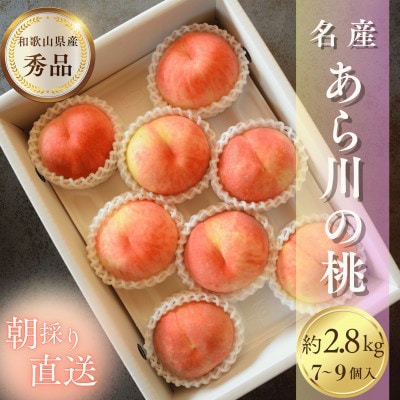 名産「あら川の桃」 秀品 約2.8kg(7～9個入)