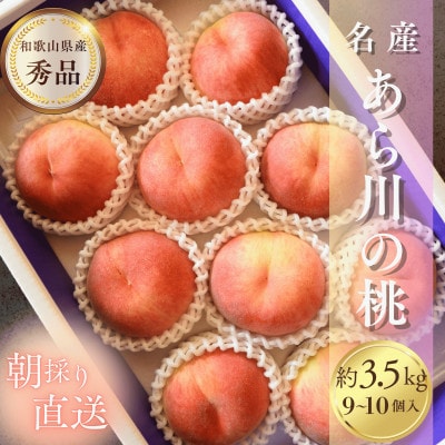 名産「あら川の桃」 秀品 約3.5kg(9～10個入)