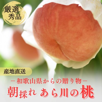 名産「あら川の桃」 秀品 約3.5kg(9～10個入)