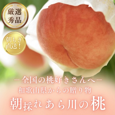 名産「あら川の桃」 秀品 約3.5kg(9～10個入)