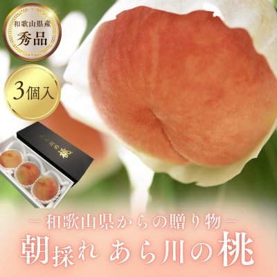 名産「あら川の桃」 秀品 約1.1kg(3個入)