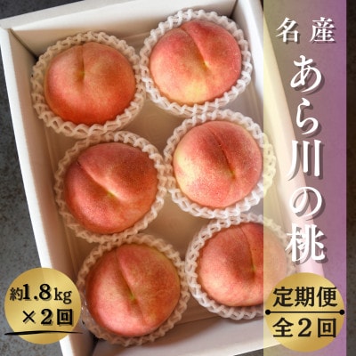 【発送月固定定期便】名産「あら川の桃」 秀品 約1.8kg(5～7個入)全2回