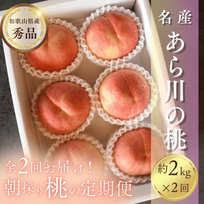【発送月固定定期便】名産「あら川の桃」 秀品 約2kg(5～7個入)全2回