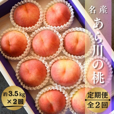 【発送月固定定期便】名産「あら川の桃」 秀品 約3.5kg(9～10個入)全2回