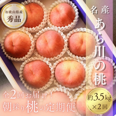 【発送月固定定期便】名産「あら川の桃」 秀品 約3.5kg(9～10個入)全2回