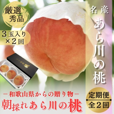 【発送月固定定期便】名産「あら川の桃」 秀品 約1.1kg(3個入)全2回
