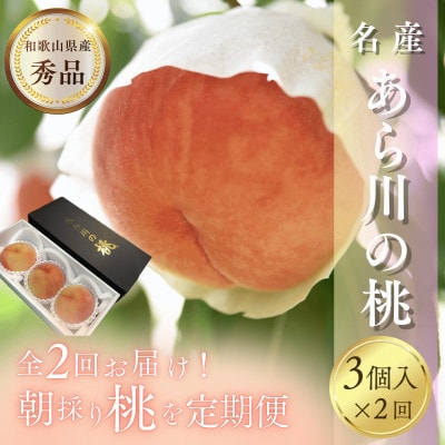 【発送月固定定期便】名産「あら川の桃」 秀品 約1.1kg(3個入)全2回