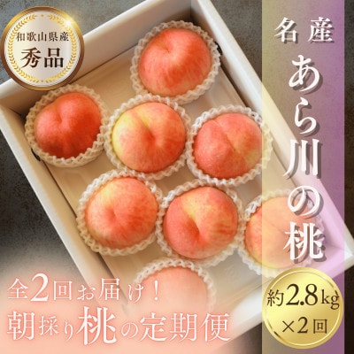 【発送月固定定期便】名産「あら川の桃」 秀品 約2.8kg(7～9個入)全2回