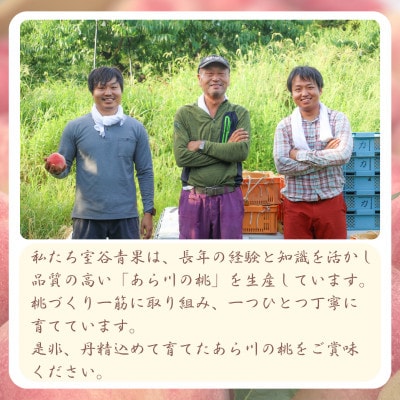 【発送月固定定期便】名産「あら川の桃」 秀品 約2.8kg(7～9個入)全2回