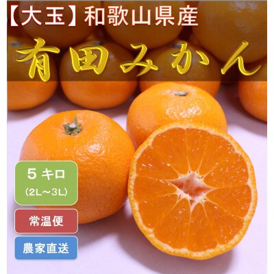 【大玉】 和歌山県産 有田みかん 5kgひとつひとつ手選別で厳選!生産者から直送
