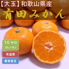 【大玉】 ひだまりみかん家の有田みかん 10kgひとつひとつ手選別で厳選!生産者から直送