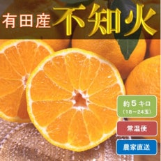 ひだまりみかん家の不知火 約5kg(18～24玉)　ひとつひとつ手選別で厳選!生産者から直送