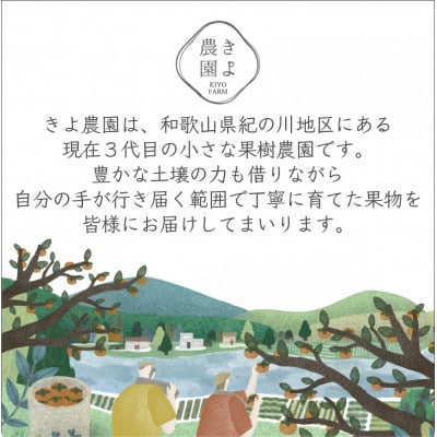 先行受付　大粒まりひめイチゴ　朝摘　6個～11個入×2パック
