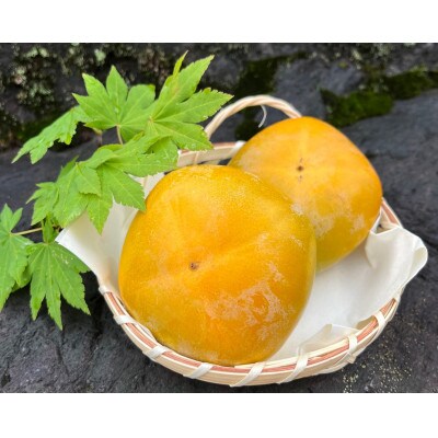 【フルーツ王国】紀の川市産「たねなし柿」3～3.5kg