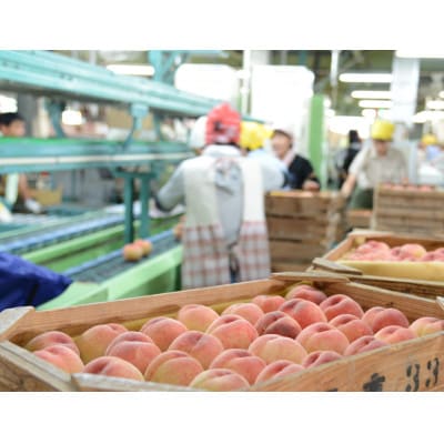 あら川の桃2Kg(6-8玉入り)【6月下旬から順次発送予定】