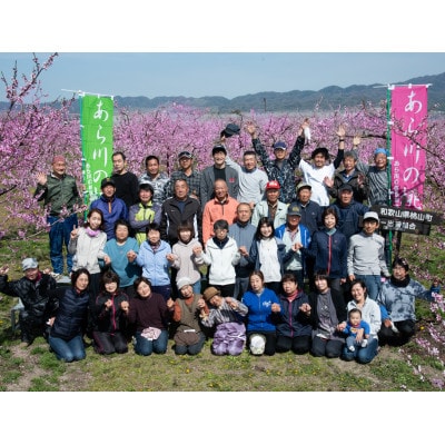 あら川の桃2.7Kg(8-10玉入り)【6月下旬から順次発送予定】