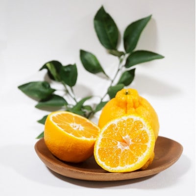 【食卓に旬を。】KiiKa　和歌山県紀の川市川原さん家の「不知火(しらぬい)」(約6～8玉)