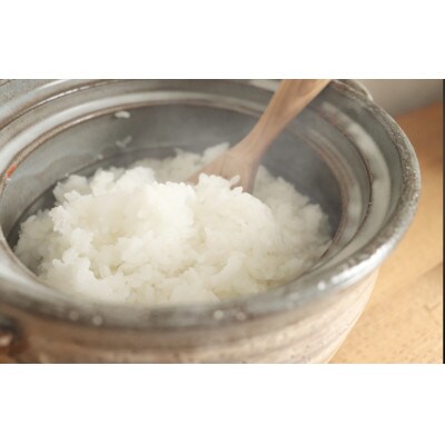 令和4年産【地元ブランド池田米】白米10kg(5kg×2袋入)紀の川市産ひのひかり