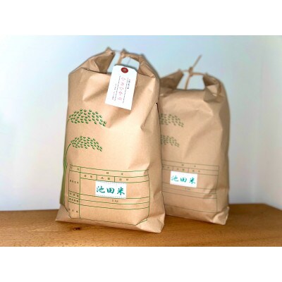 令和4年産【地元ブランド池田米】白米10kg(5kg×2袋入)紀の川市産ひのひかり
