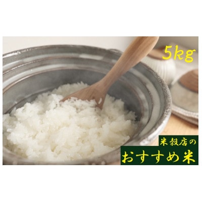 令和6年産【紀の川市産地米】米穀店のおすすめ 白米5kg(5kg×1袋入)品種指定なし