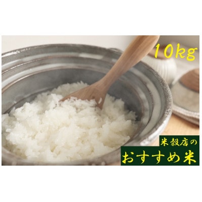 令和6年産【紀の川市産地米】米穀店のおすすめ 白米10kg(10kg×1袋入)品種指定なし