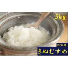 令和5年産【地元ブランド池田米】白米5kg(5kg&times;1袋入)紀の川市産きぬむすめ