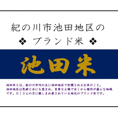 令和5年産【地元ブランド池田米】白米10kg(5kg×2袋入)紀の川市産きぬむすめ