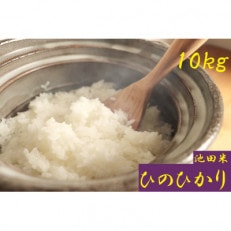 令和5年産【地元ブランド池田米】白米10kg(5kg&times;2袋入)紀の川市産ひのひかり