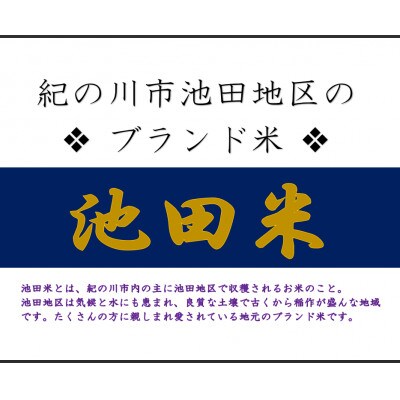 令和5年産【地元ブランド池田米】白米10kg(5kg×2袋入)紀の川市産ひのひかり