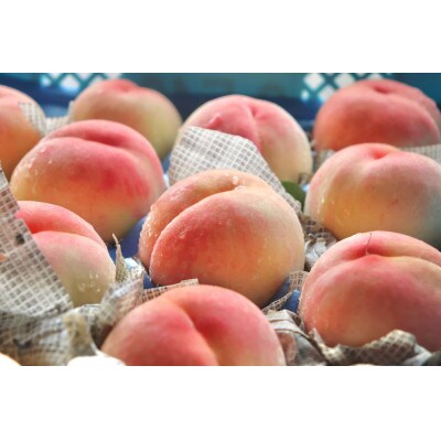 あら川の桃　1.8kg(5～6個入り)